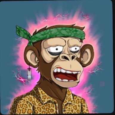Homermetax's profile picture. Buying & Trading Memecoins — Web3 Guru | Dm for Marketing + Promotions | Click the 🔔 for Alphas, Growth, Giveaways | $THRN |$KOINZ | NFA DYOR