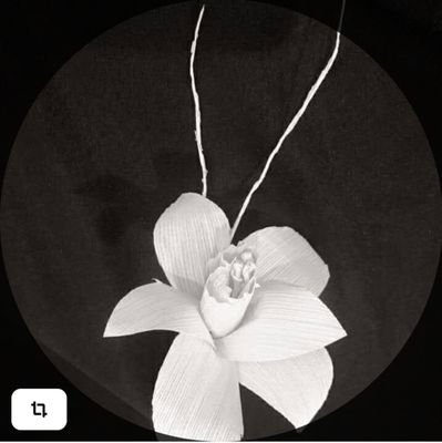 Ndu44299544's profile picture. รักชาติ ศาสนาและพระมหากษัตริย์🇹🇭🙏💛