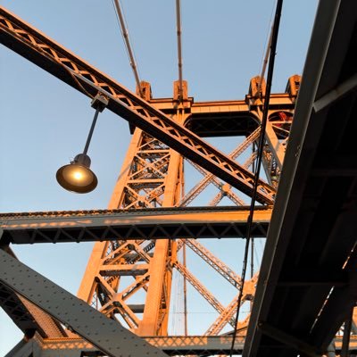 shogarthian's profile picture. 