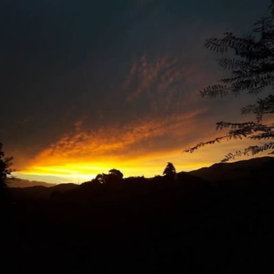 robertonc90's profile picture. 