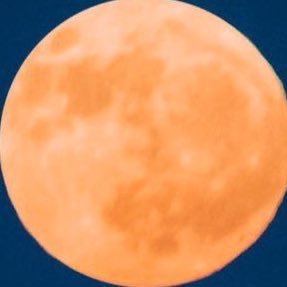 bomontiusulu's profile picture. 