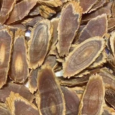 xjy13141313's profile picture. 