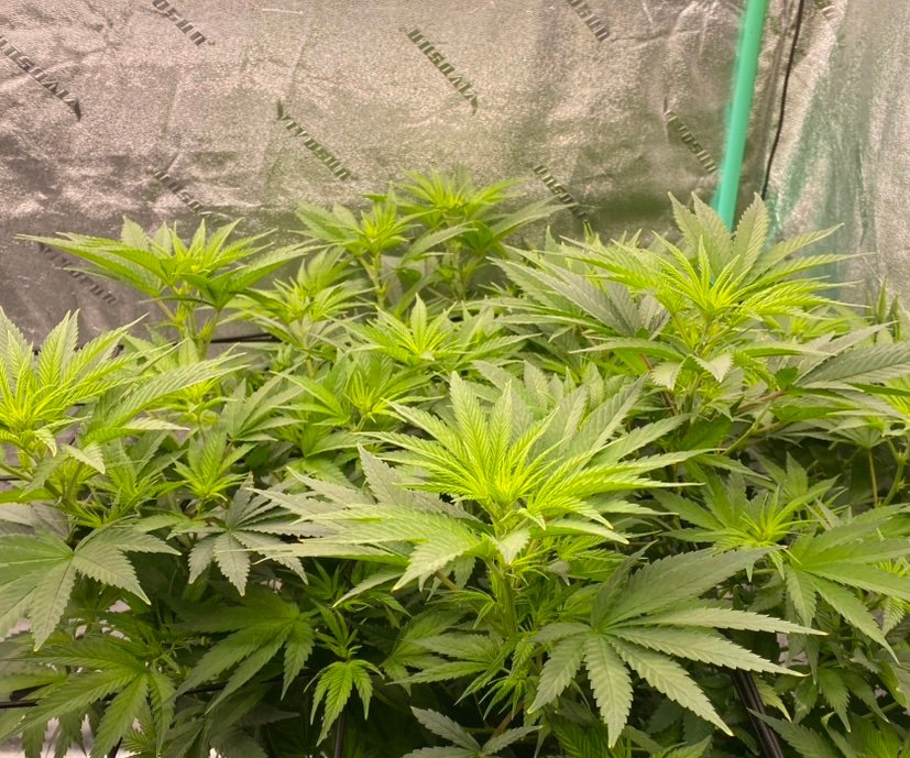 BLJGates042008's profile picture. 