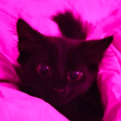 itsjassibby's profile picture.
