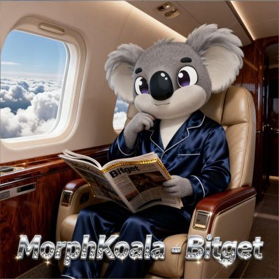 fande38299235's profile picture. Morph链早期建设者 $koala早期建设者