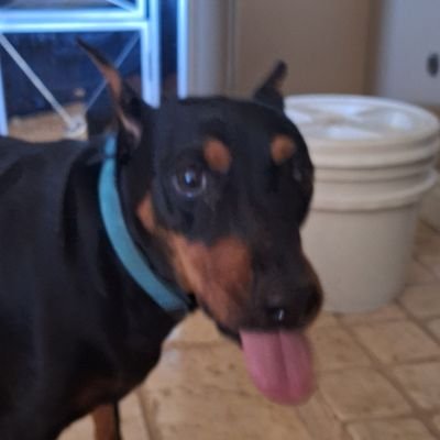 Turna_Wilkinson's profile picture.
