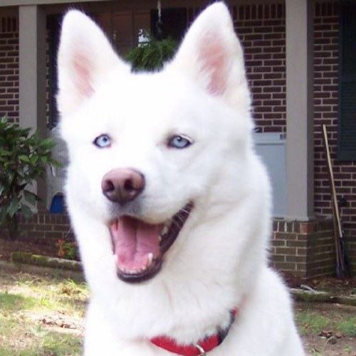 YiffOfSpace's profile picture. 