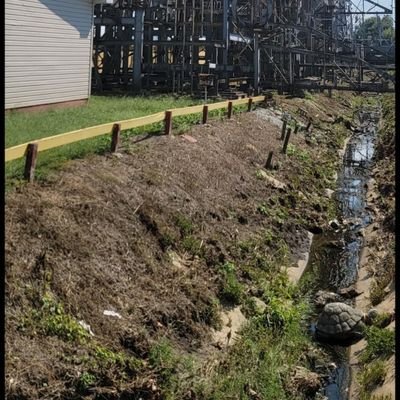 LiquorStoreZ's profile picture. 