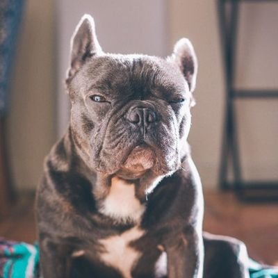 la_jome34692's profile picture. 