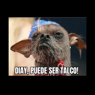 ____1910cr's profile picture. Dio... Tu sei il mio testimone più importante in questo processo. Sii un giudice giusto