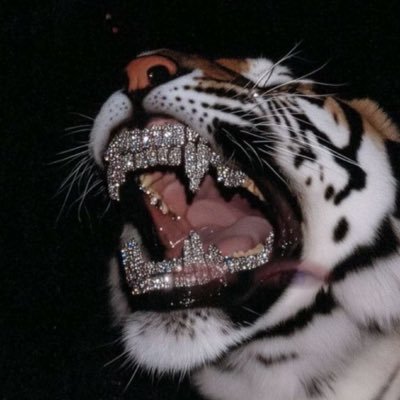 Reanoh_'s profile picture. | Welcome to the fast life ٩٩٩ | 24 | Hope 💕| $RCantle13 | Call of Duty Player for @ | 4x @NJCAAe National Champion |