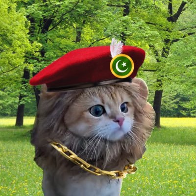 SamiTheAlien's profile picture. Meow. 🍊🐈 I travel spaces & listen to hooman views; but NEVER talk. Let me listen. Stop removing me!!! Send Co-Host. Cute Red Flag. DM if you like cats 🐱