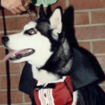 W00FWeWantIt's profile picture. 26 | she/her | broke ho(m/b)o | part-time singer/street artist | idk give me your money