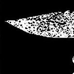 slivimann's profile picture. 🇨🇳