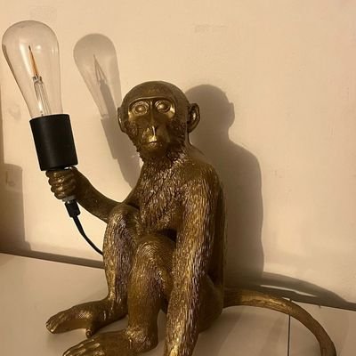 thomalonzo's profile picture. he/him, 24