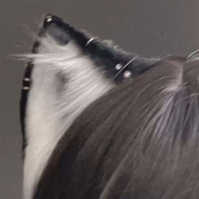 V4mpRyyyu's profile picture. and when i’m red, you’re blue. I wanna kiss your neck and make you purple all over.