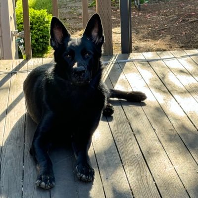 GrothTyler5705's profile picture. 