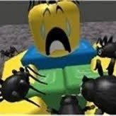 kashathecat4's profile picture. hai