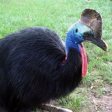 Patatero1897xd's profile picture. odio todo ser vivo