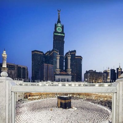 Muhammadgamal44's profile picture. VeTerinarian || MU ||