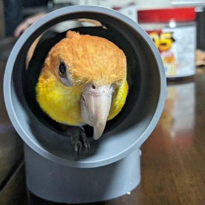 wakky03092's profile picture. 垢変えました、自分磨き厨、日々精進!!
モンハンメインに遊んでます