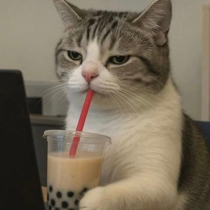 alanisrg2's profile picture. 