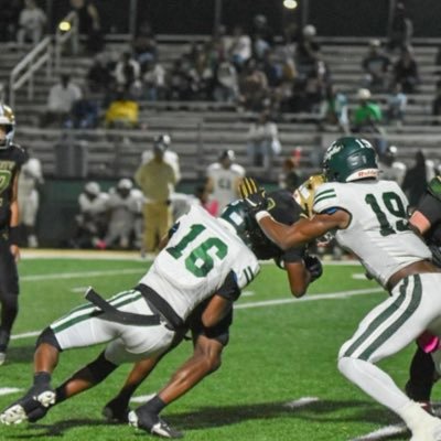 Ladarius Martin Profile