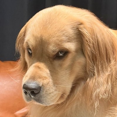 fofyfan7's profile picture. ใจสั่นๆ นึกว่าเศร้า ที่ไหนได้หิวข้าวนี่เอง