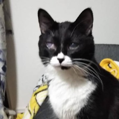 urui62942662's profile picture. 神谷玲子さん推しアカウントです。不慣れですが、仲良くして下さい。うつ持ちですが、演者さん達にパワーもらってます。