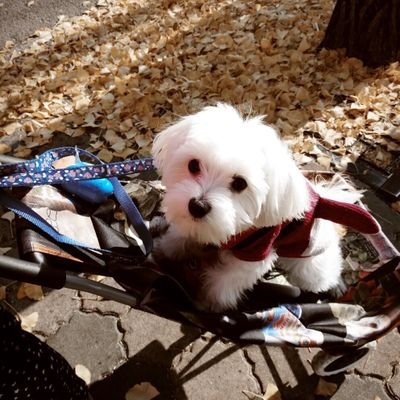 WalterConnie2's profile picture. Crypto man.