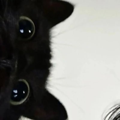 onlyluvu_xoxo's profile picture. @xxmeow_0w0