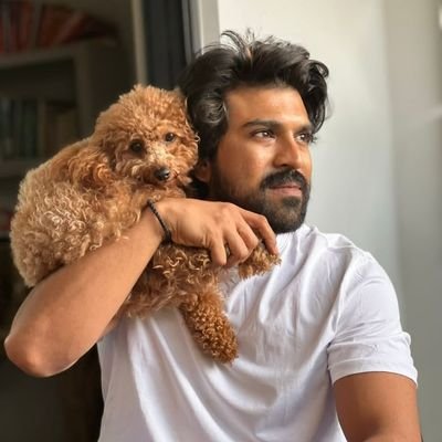 Sanie_'s profile picture. ZAYN : RC : PK                                
                                          
I live because I can't die