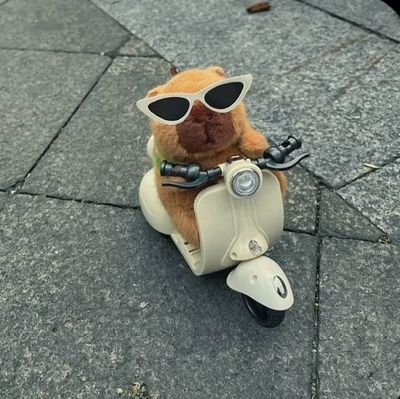 imnsknngmnf_p12's profile picture. ⚝ - ᴘʀᴏᴍ💜 ᴏʜᴍ☁️ ᴀᴜɴɢᴘᴀᴏ🧧ᴄʜɪᴍᴏɴ💛ɢᴇᴍɪɴɪꜰᴏᴜʀᴛʜ​ 🐭 ᴘᴏɴᴅᴘʜᴜᴡɪɴ​ 🐻🐼 ᴘʀᴇᴛʜꜱᴀɴᴛᴀ​ 🔥 ꜱᴋʏɴᴀɴɪ​ 🪔 ɴᴜᴛʜᴏɴɢ​ 🥜🍦ᴡɪʟʟɪᴀᴍᴇꜱᴛ​🎸🦈​ ᯓᡣ𐭩  𝐀𝐓𝐋𝐀𝐒​ ・𝐋𝐘𝐊𝐍・𝐁𝐔𝐒