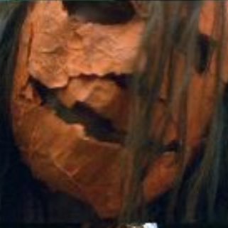 SAIJAJOE's profile picture.
