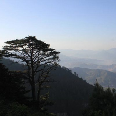 nanamiananm's profile picture. 都会に住んでいるので、自然にとても憧れがあります🏞️
自然の中で、もっと心の感じを得たいと思っています。
同じように自然が好きな人と交流できるのを楽しみにしています！
商業的な勧誘やエロDMは禁止です🚫