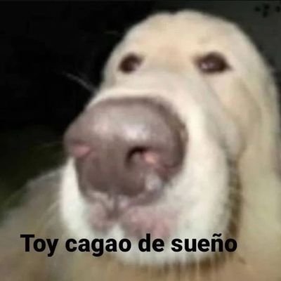 karmen689421's profile picture. 