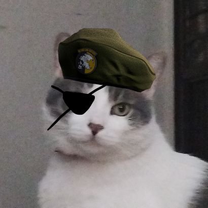 Vanirgray's profile picture. humilde servidor de chromeVT