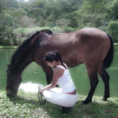 hazedbysummer's profile picture. moodboard 🧚🏼