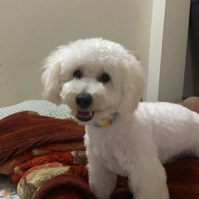 84John17's profile picture. Just Yapper?!