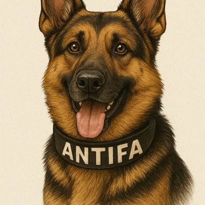 DerMischkabaer's profile picture. noafd,
stehe zu 100% hinter der Ukranie bis zun Sieg
hasse Nazis aber auch Linksextremisten wie BSW