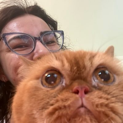 havvacodes's profile picture. Frontend Developer 👩🏻💻