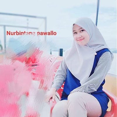 NPawallo48938's profile picture.