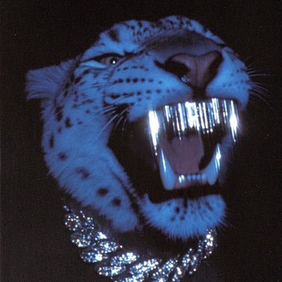 furaar's profile picture.