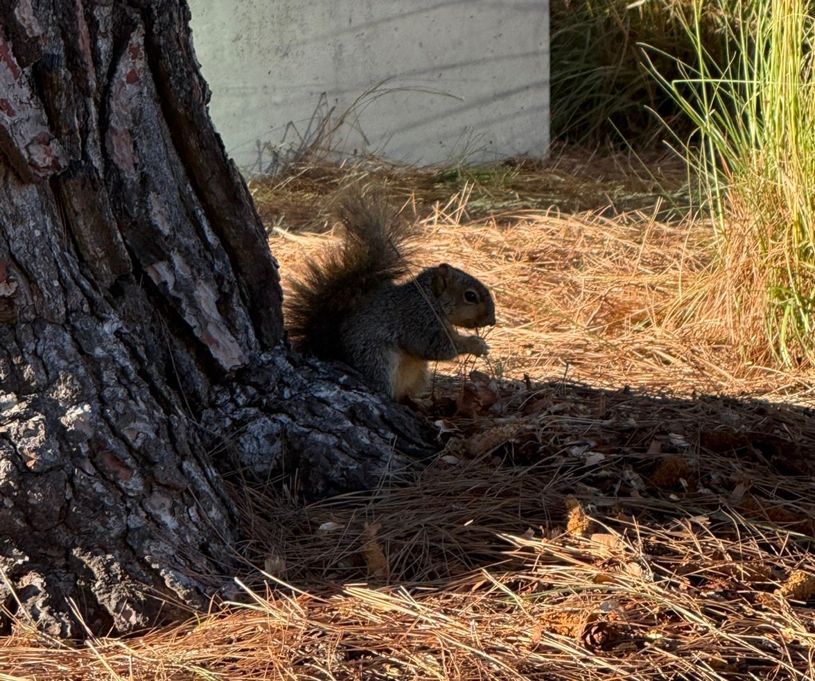 Lzc9j4's profile picture. 