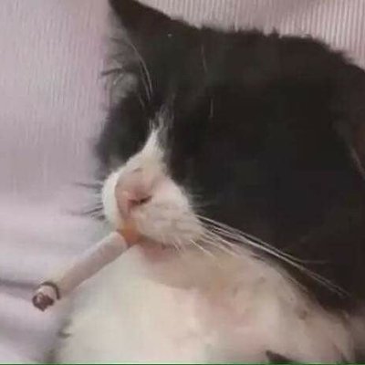 Sauci1618's profile picture.