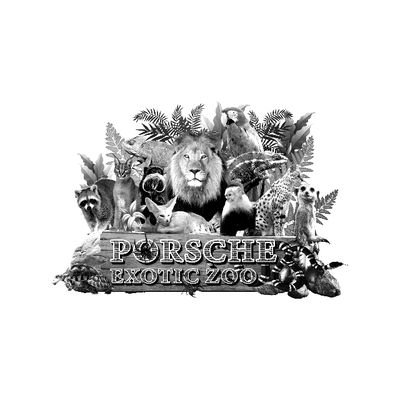 Porsche_shop99's profile picture. 🍃 Selling equipment - animal feed 🐒 Adoption - consignment 🦝Import-export abroad 🐢 Buy-receive turn 🦊 Rental of animals 🦜 accept card swipe  📞091-9925424