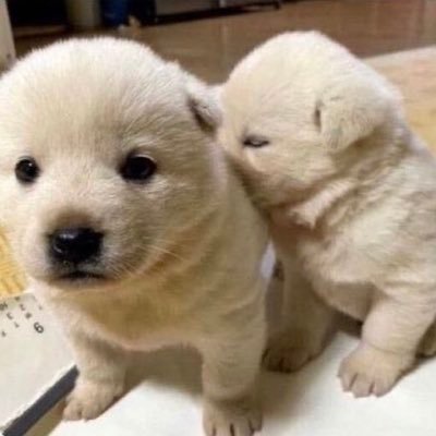 heyplzplzplz's profile picture. 