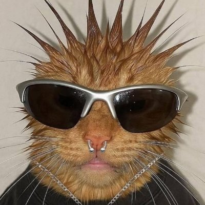 rahulxero's profile picture. Pain is what true gambling is about
We want to avoid pain
We're afraid to die
But that's why it's so good