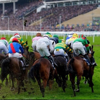 Cheltenham77300's profile picture. 