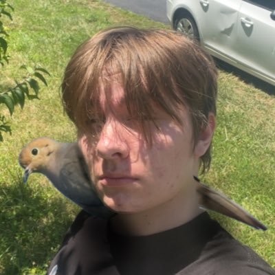 macroura_'s profile picture. valorant goat @kansasesport @Damage__Esports